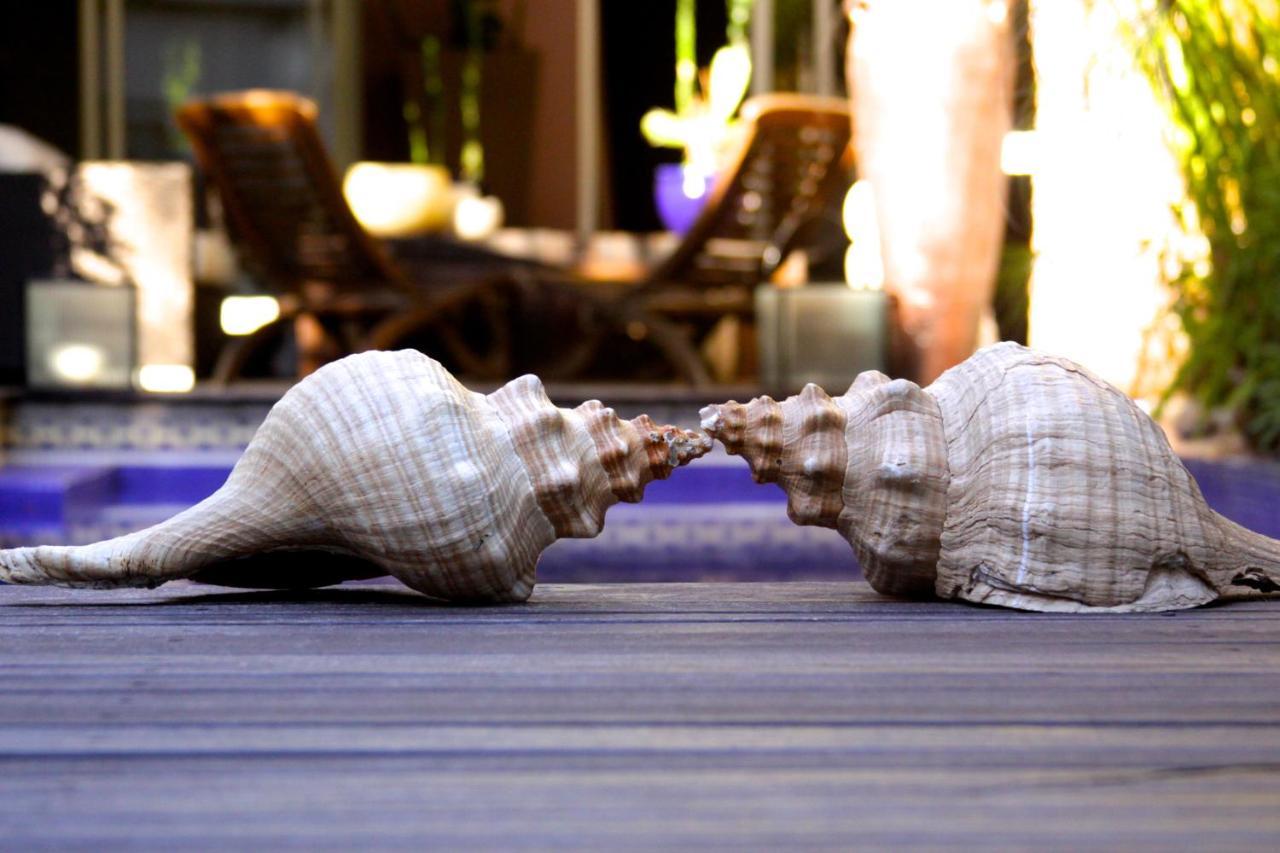 Cool Clima Bed & Breakfast Olivos Exterior foto