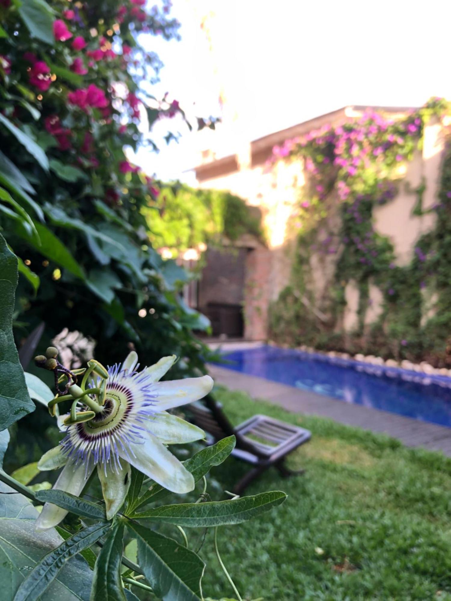 Cool Clima Bed & Breakfast Olivos Exterior foto