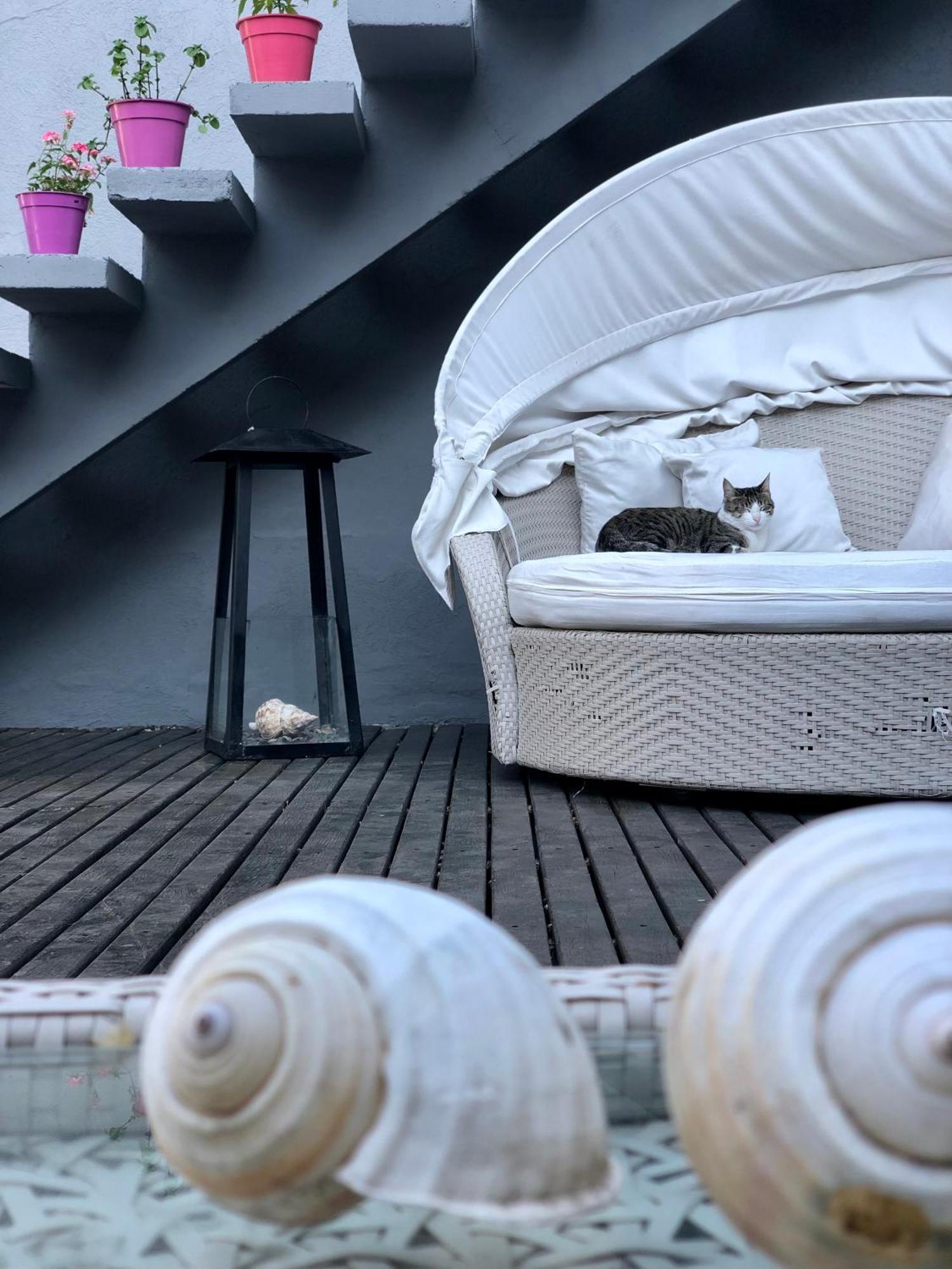 Cool Clima Bed & Breakfast Olivos Exterior foto